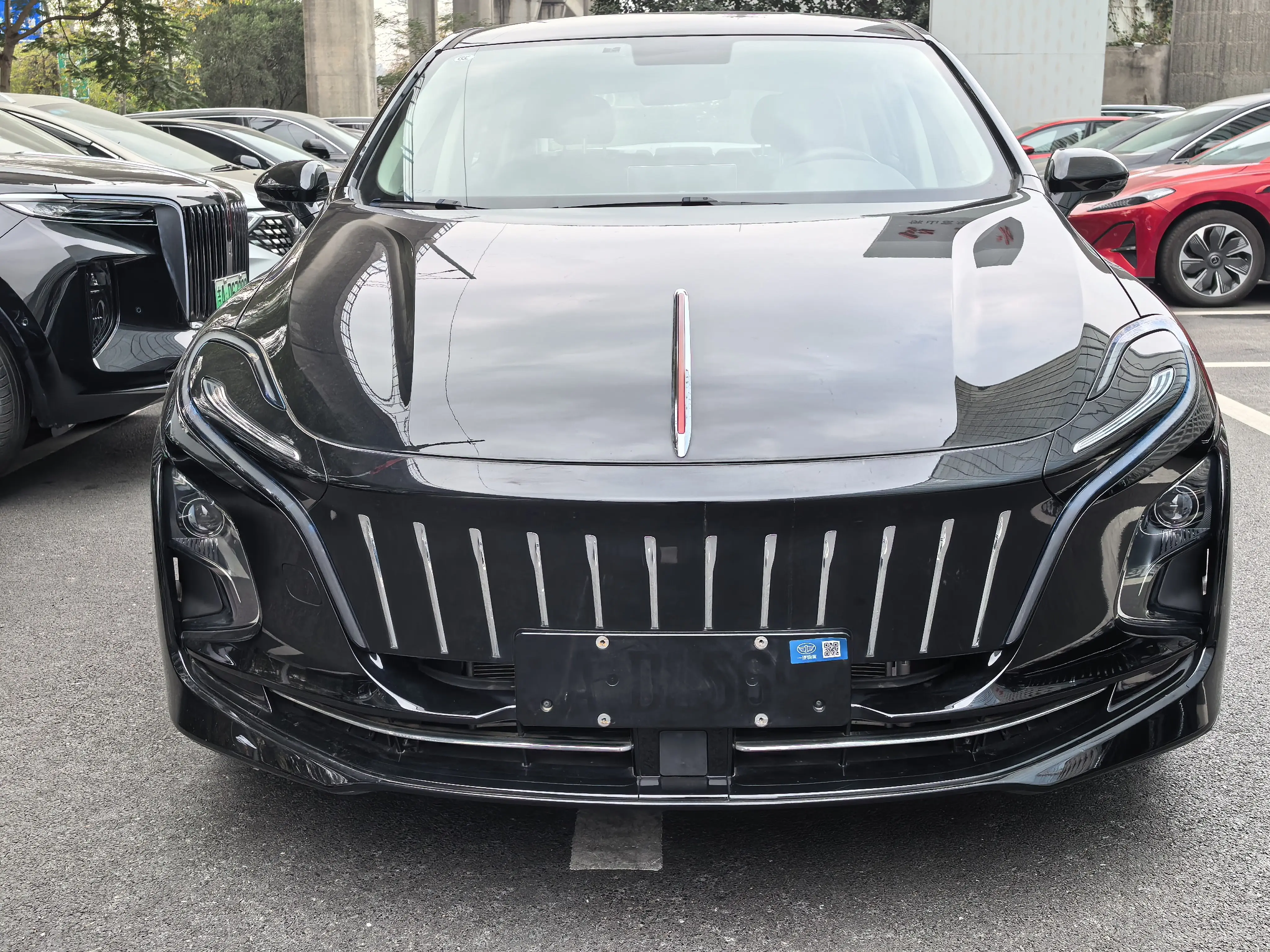 Hongqi E-QM5  из Китая