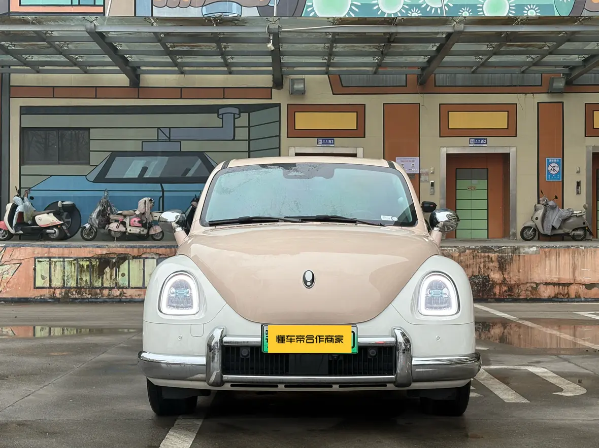 ORA Euler ballet cat  из Китая