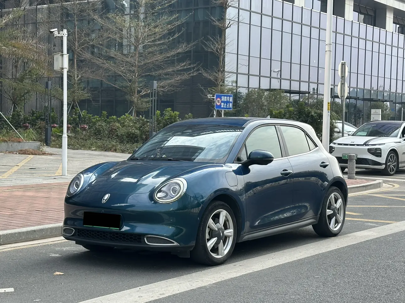 ORA Euler good cat  из Китая