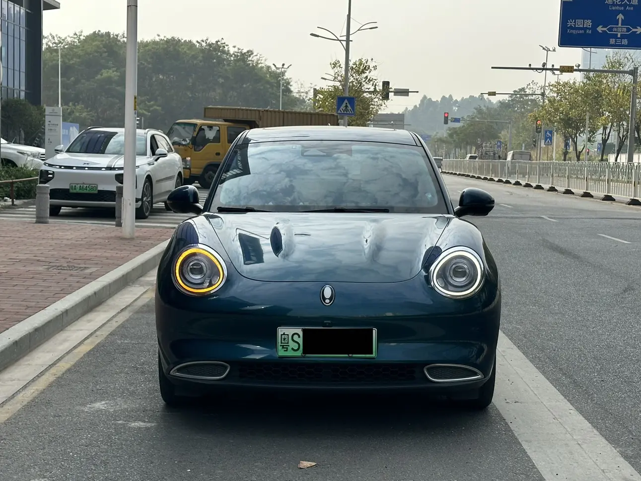 ORA Euler good cat  из Китая