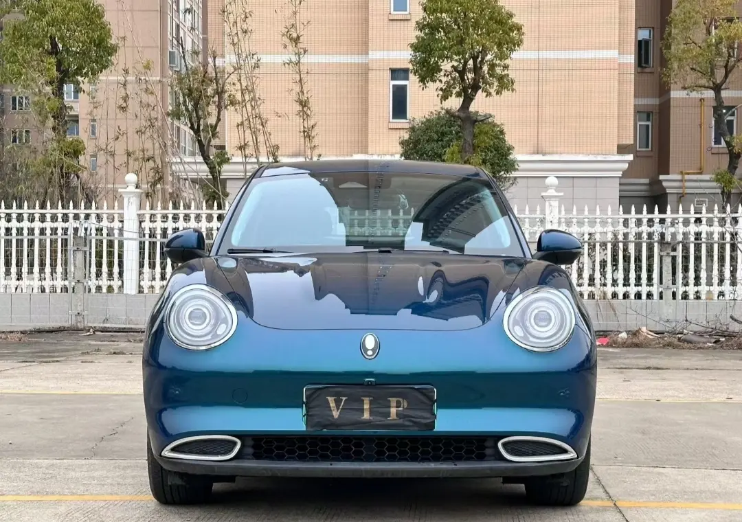 ORA Euler good cat  из Китая