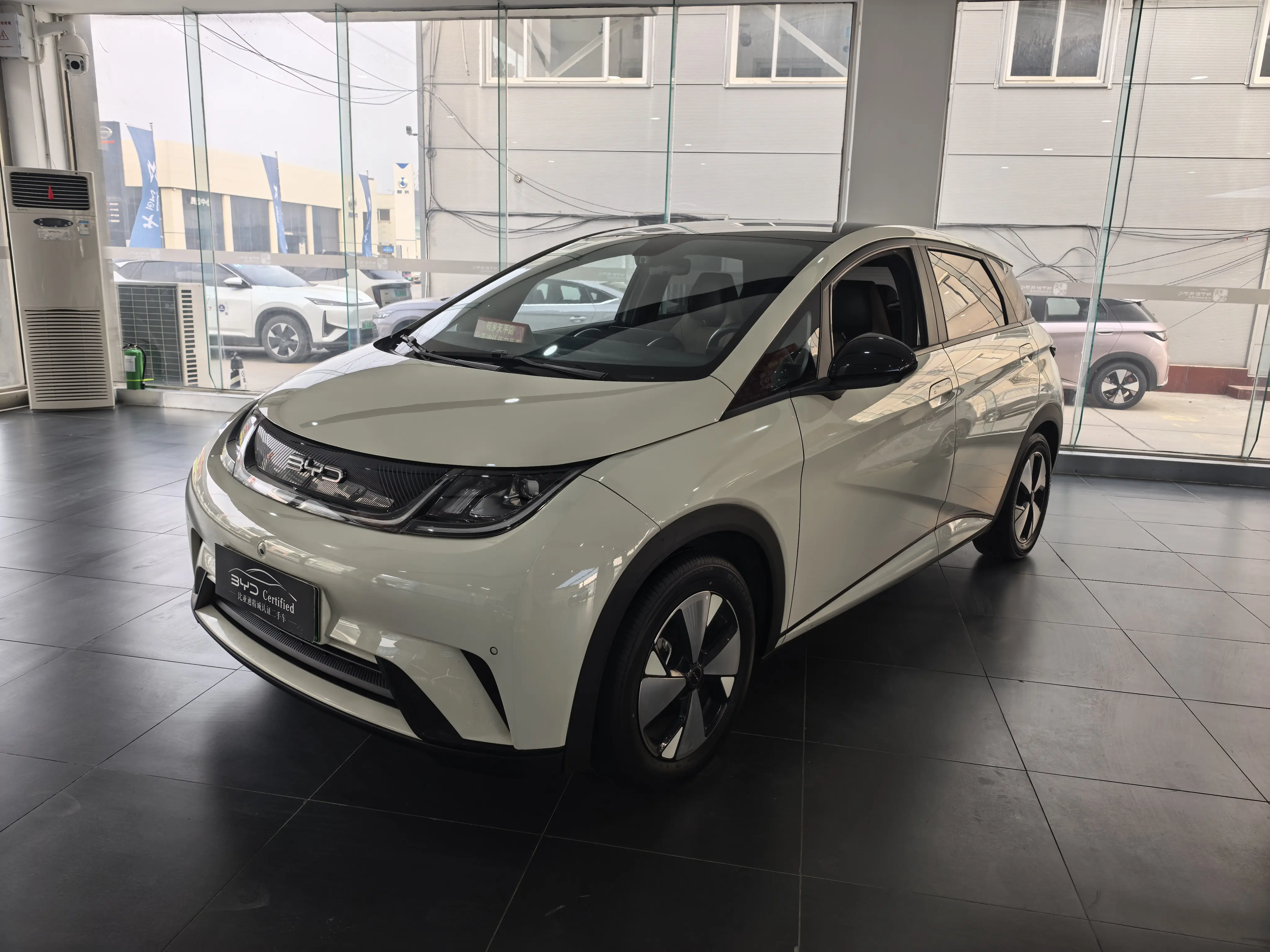 BYD Dolphin  из Китая