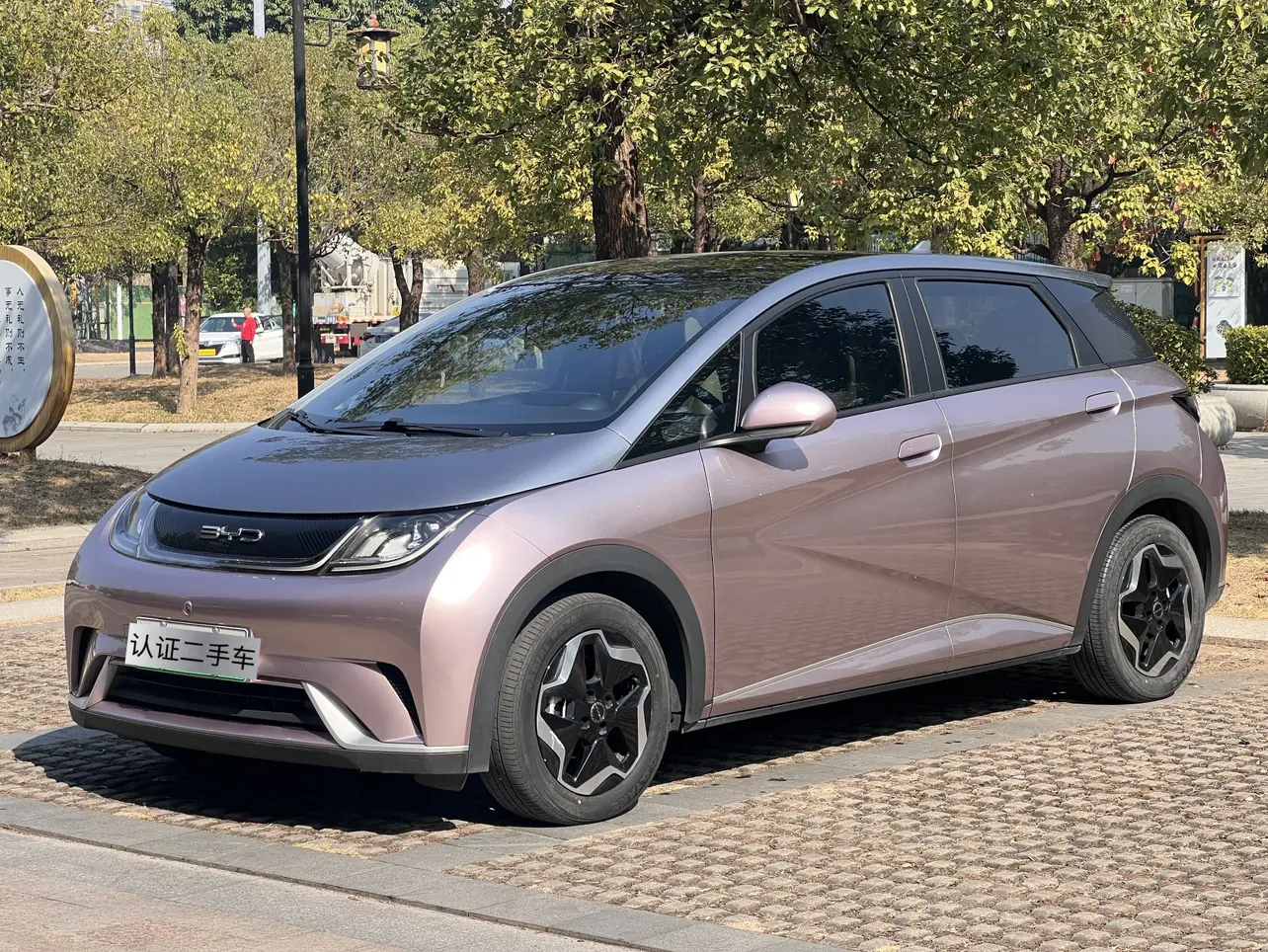 BYD Dolphin  из Китая