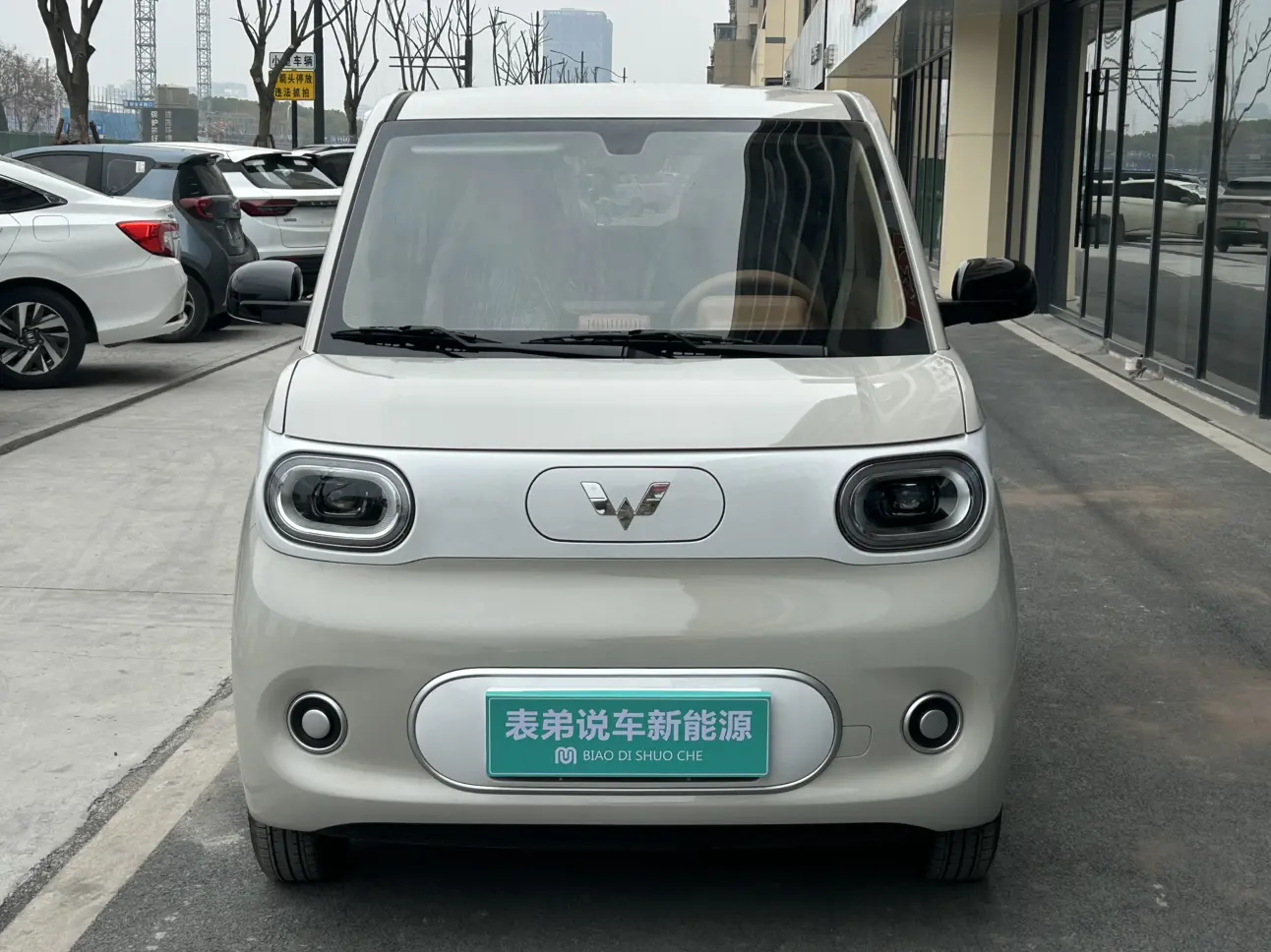 Wuling Hongguang MINIEV  из Китая