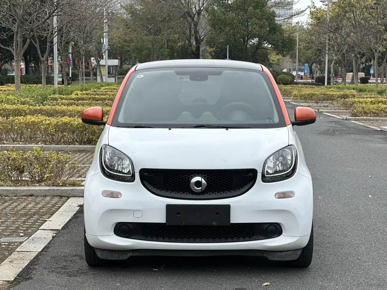 Smart fortwo  из Китая