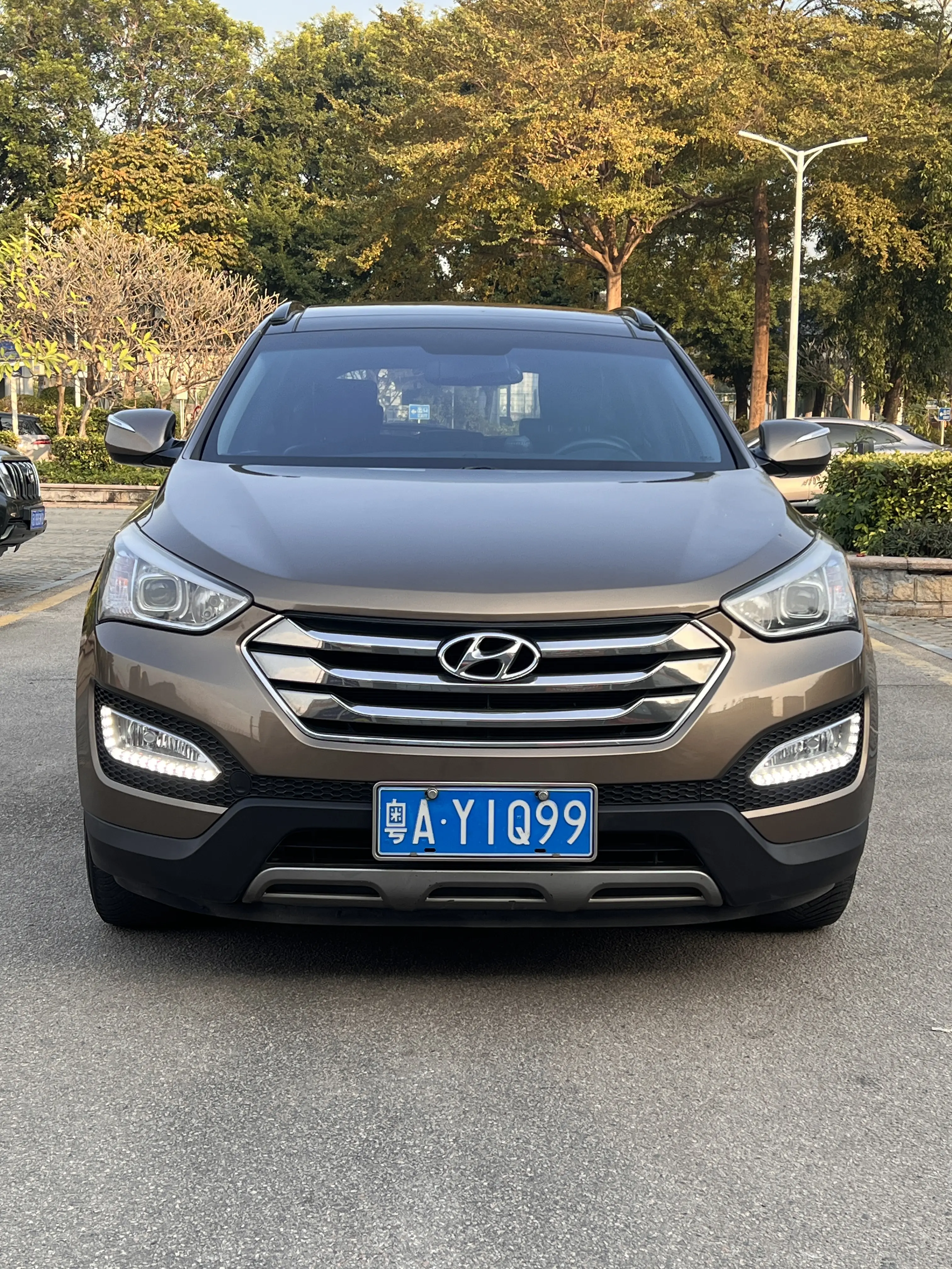 Hyundai Shengda  из Китая