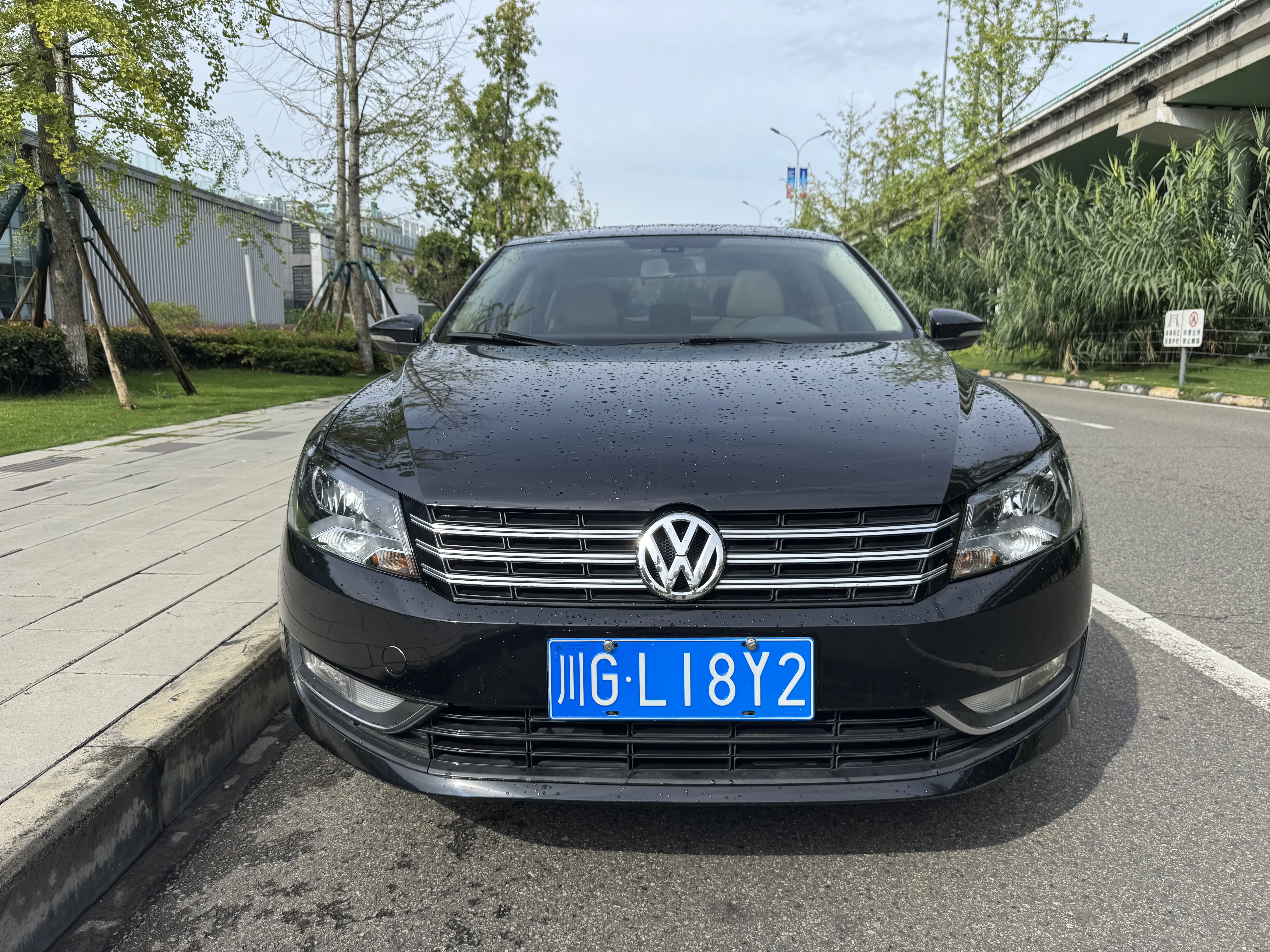 Volkswagen Passat  из Китая