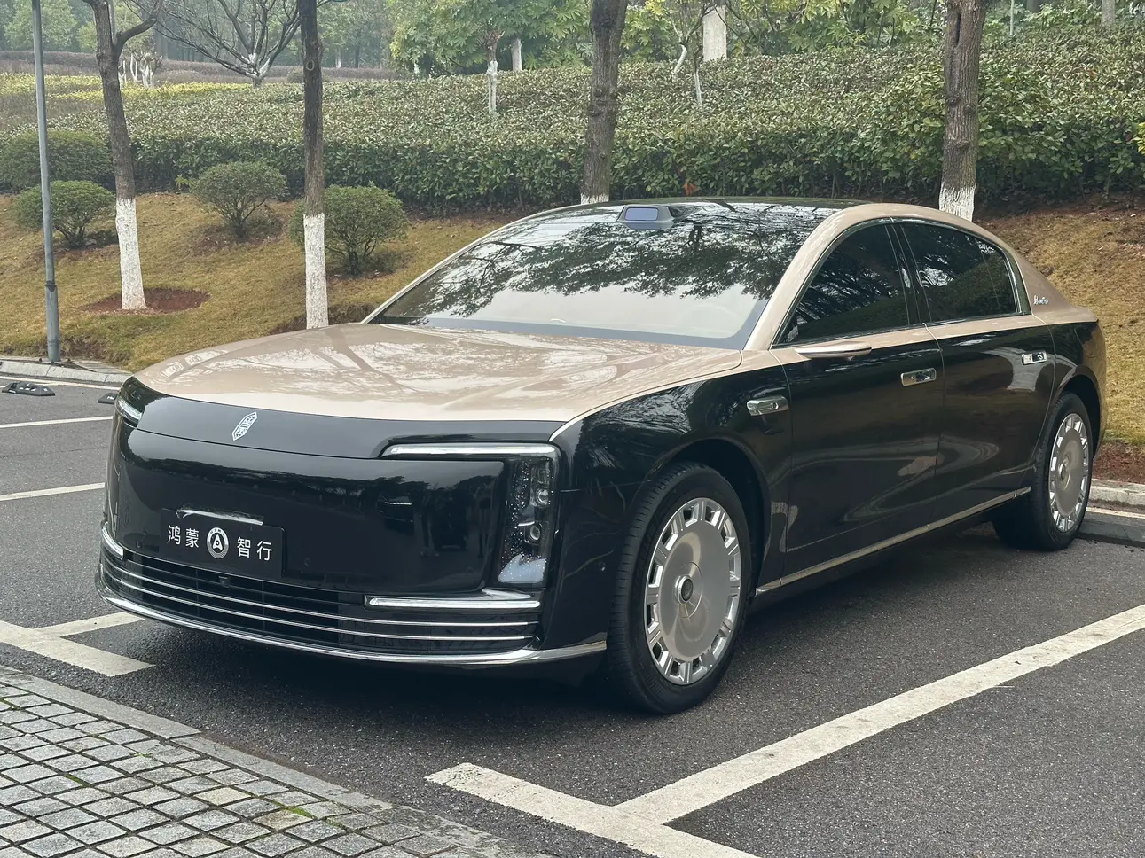 Zunjie S800  из Китая