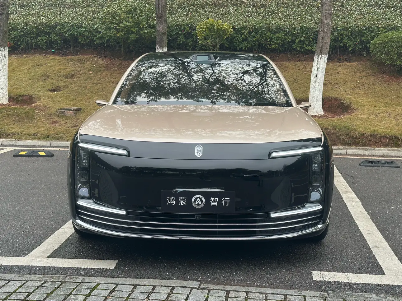 Zunjie S800  из Китая