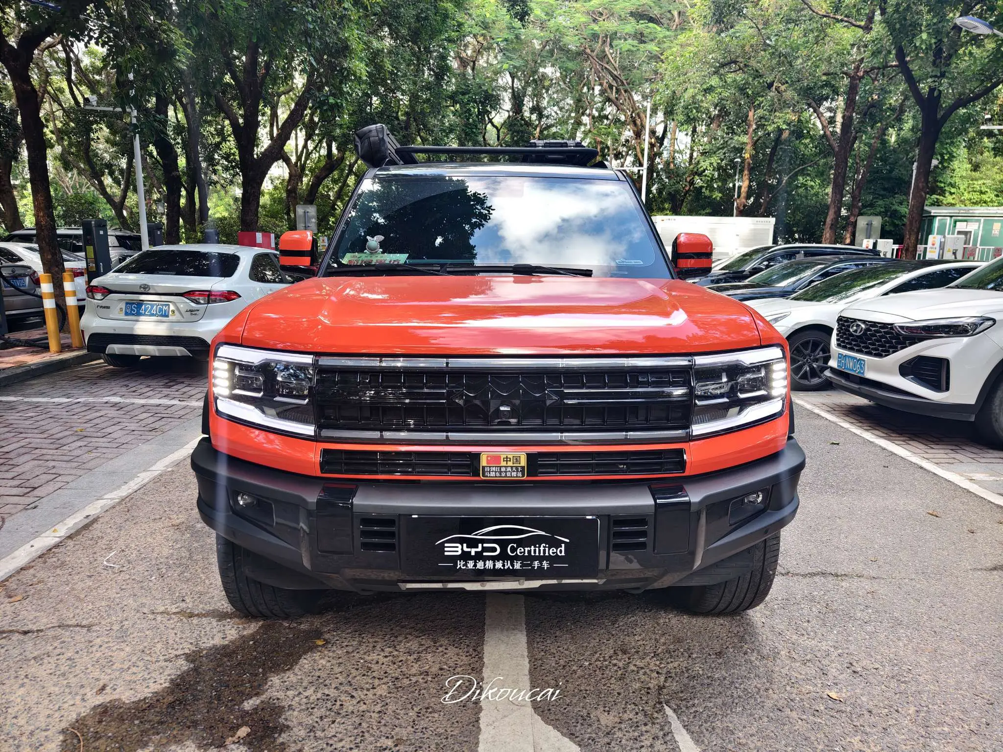 BYD Leopard Leopard 5  из Китая