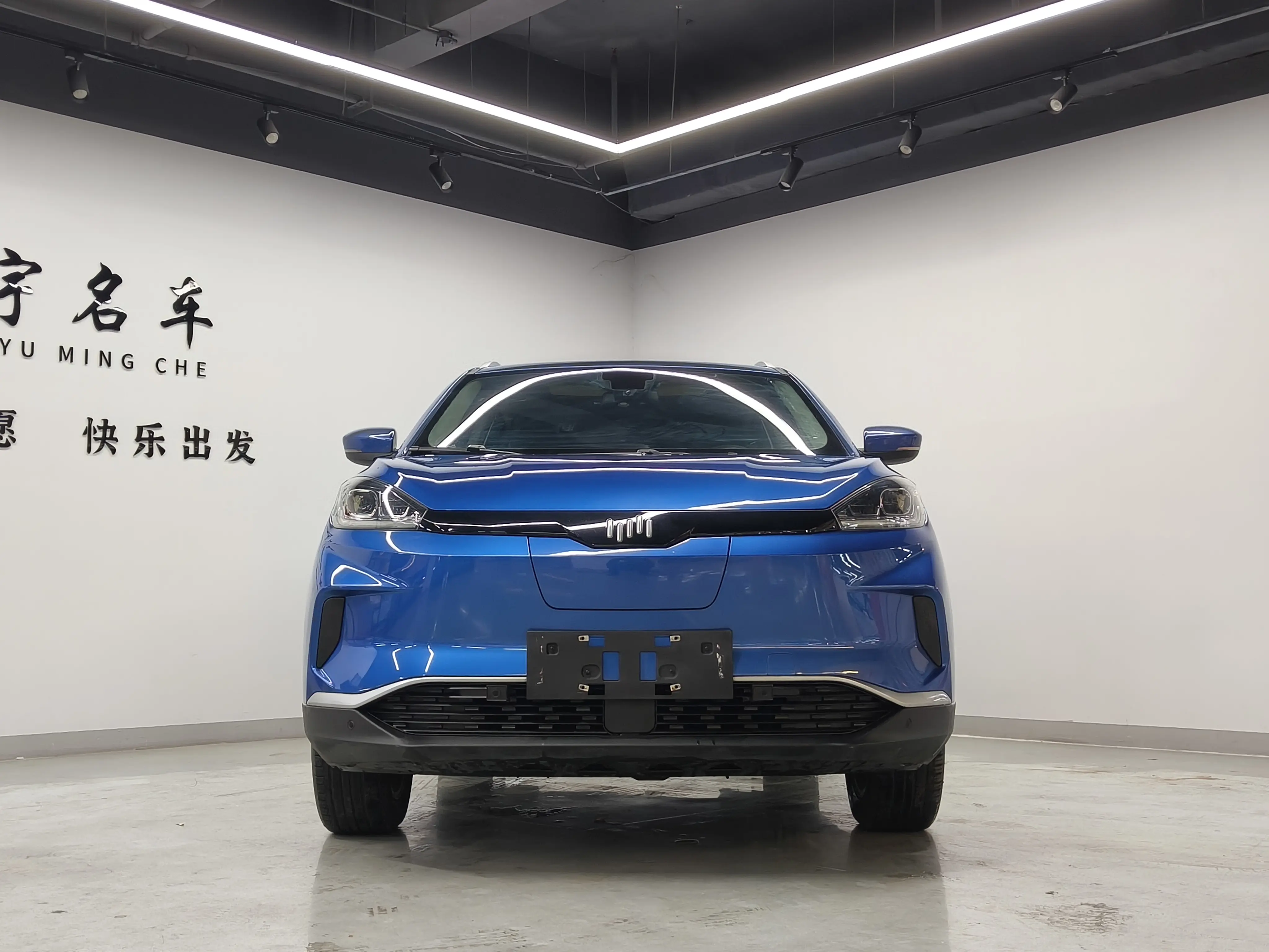 Weltmeister WM EX5  из Китая