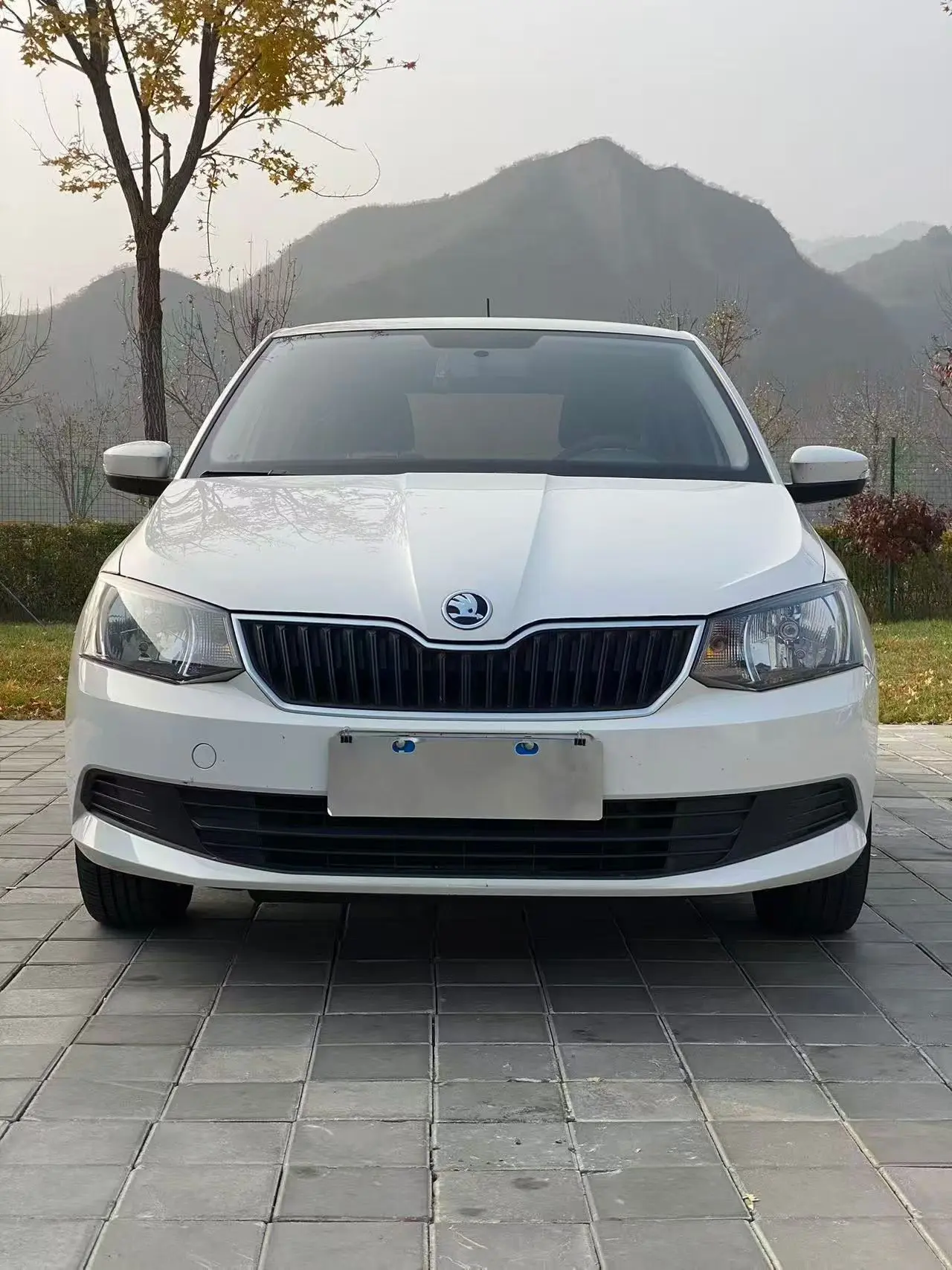 Skoda Jing Rui  из Китая