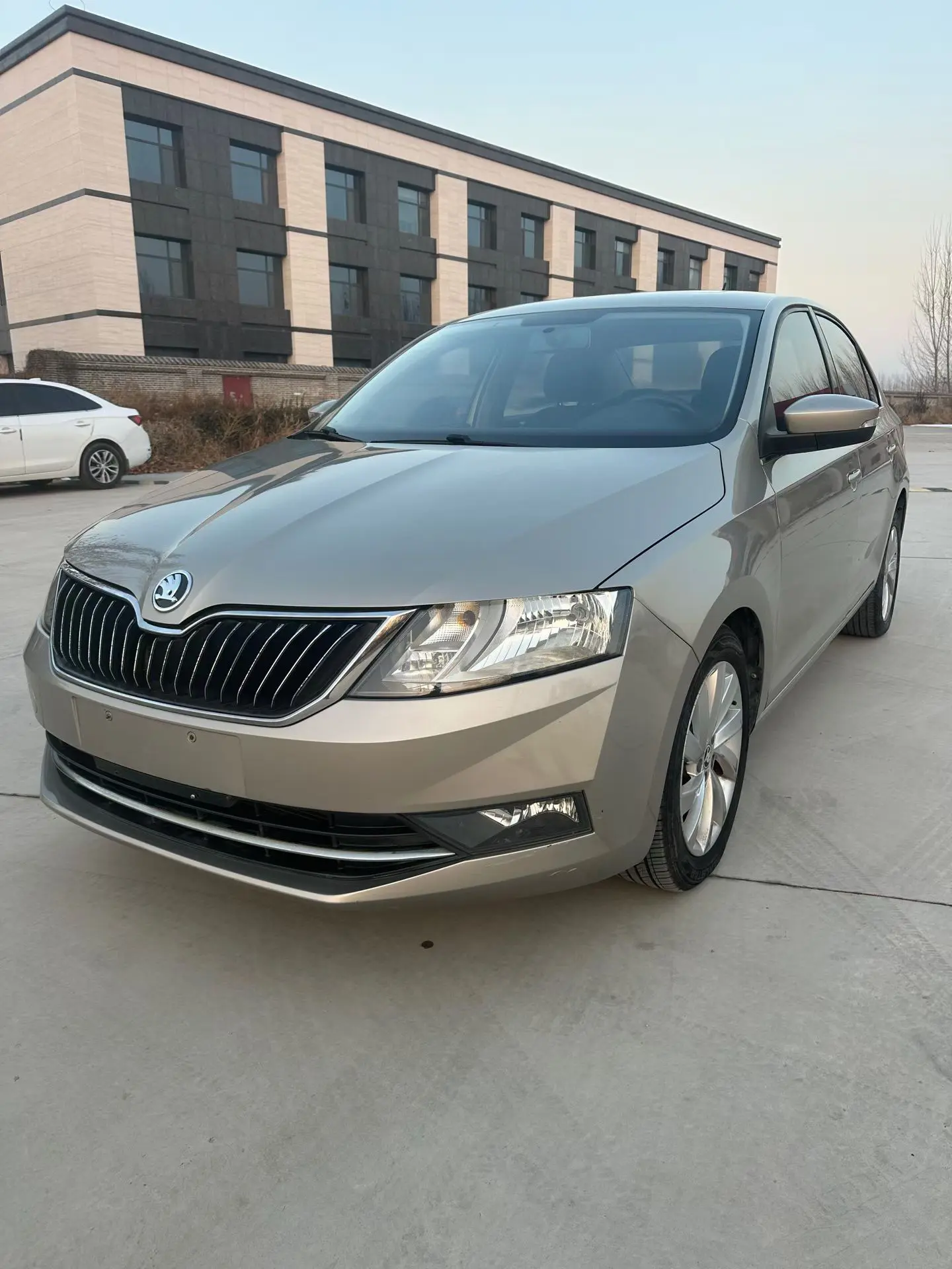 Skoda Xin Rui  из Китая