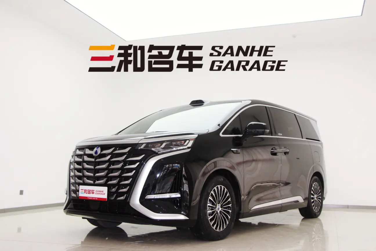 Denza D9 DM  из Китая