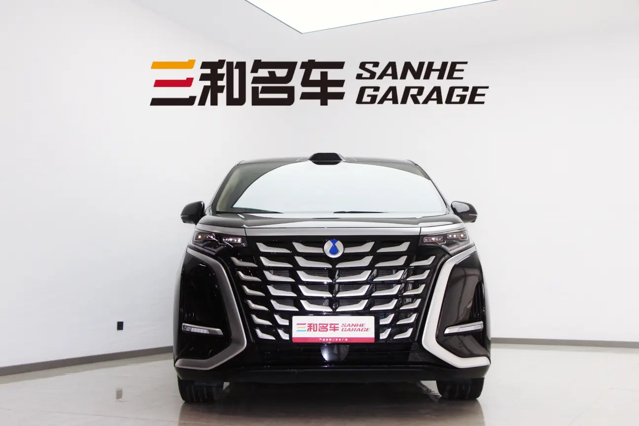 Denza D9 DM  из Китая