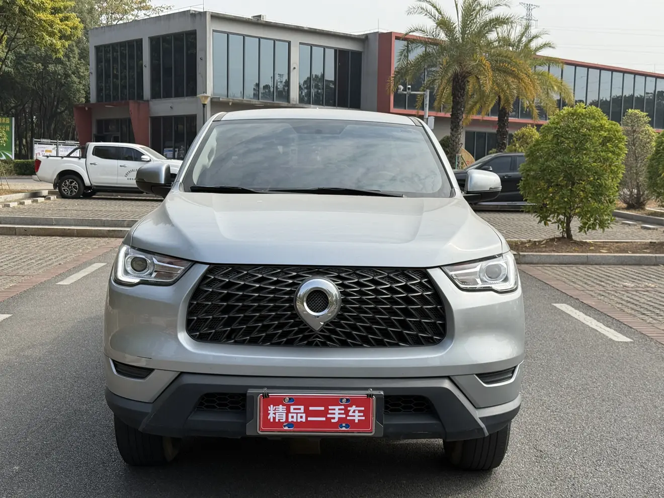 Great Wall Gun  из Китая