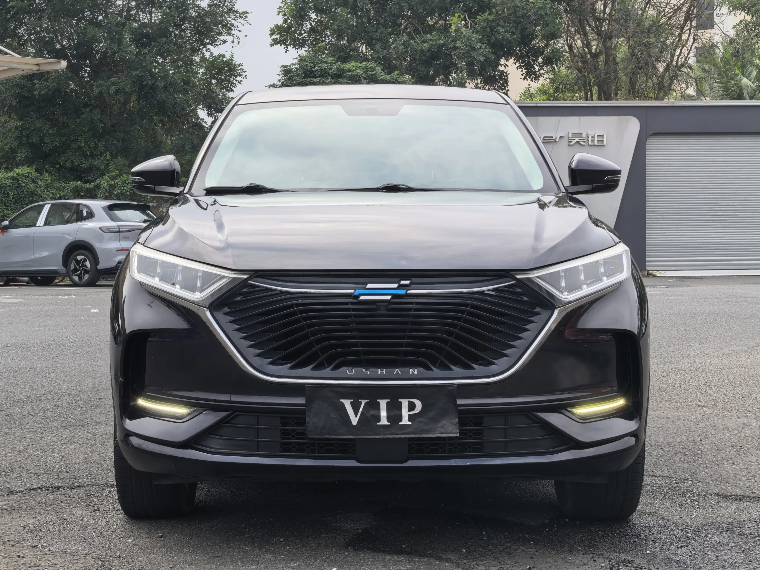 Oshan Changan Auchan X7  из Китая