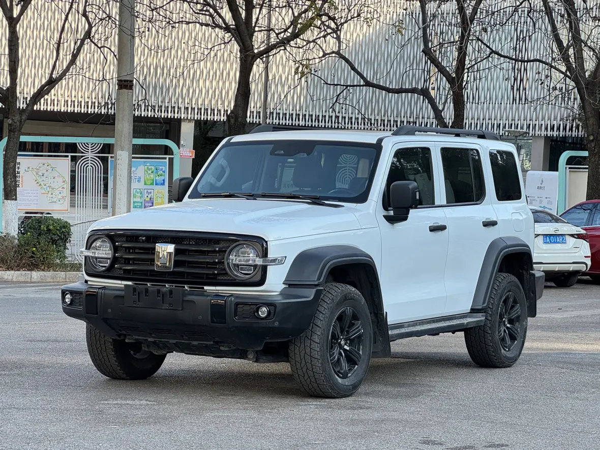 Tank 300  из Китая