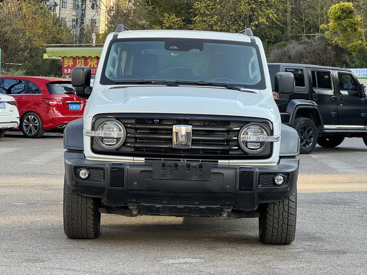 Tank 300  из Китая