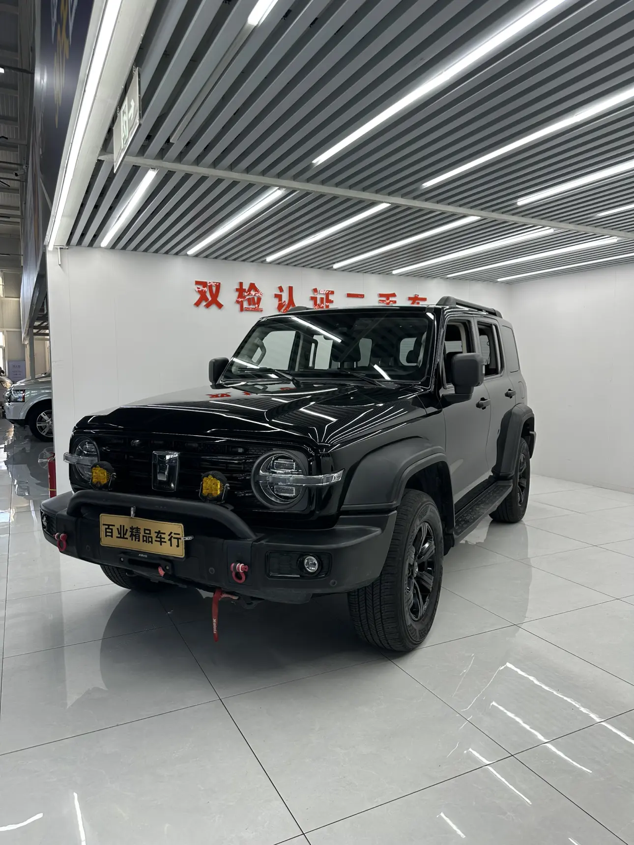 Tank 300  из Китая