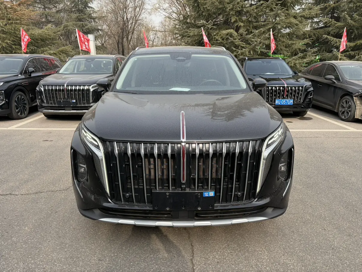 Hongqi HS7 PHEV  из Китая