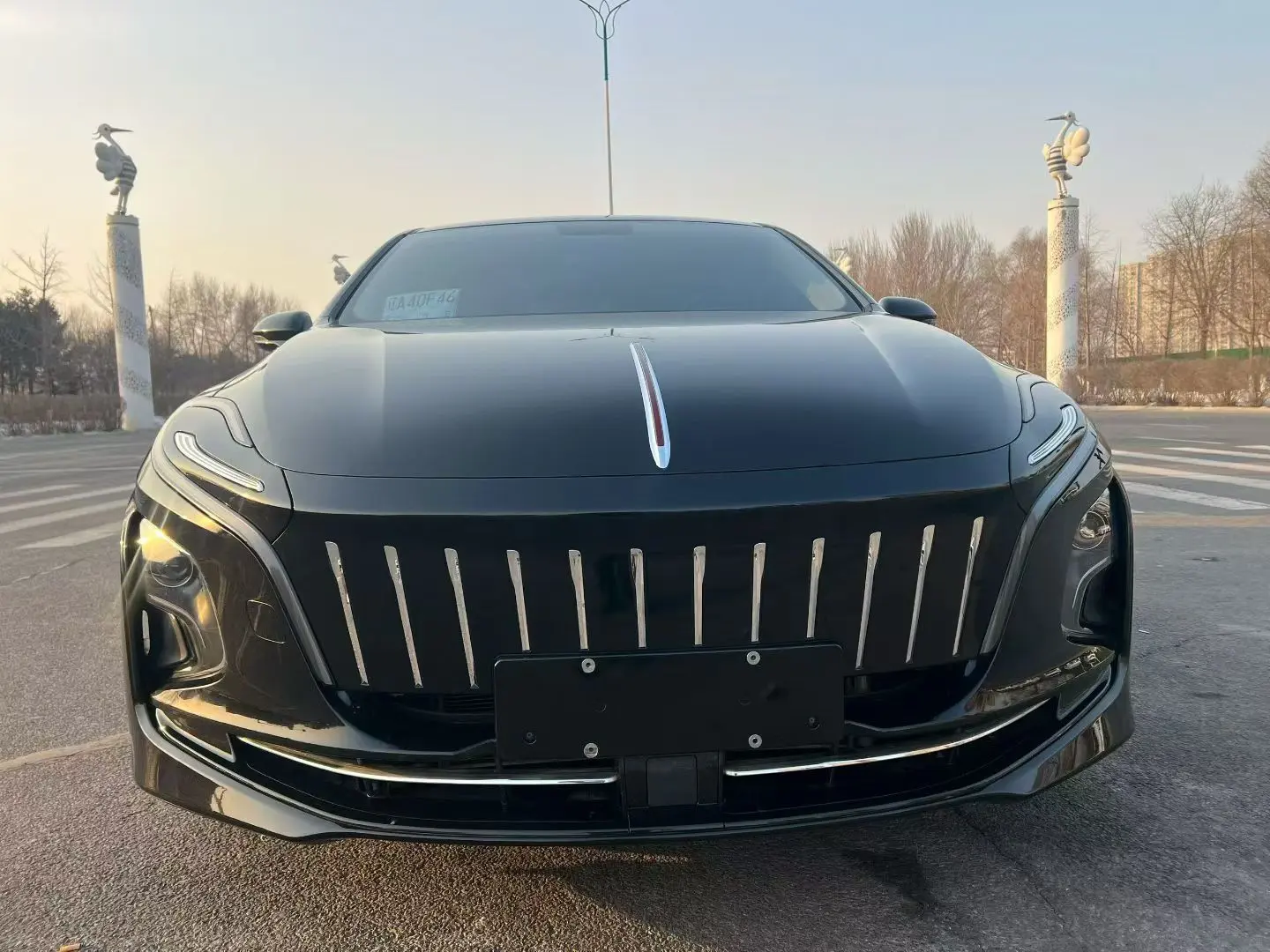 Hongqi E-QM5  из Китая