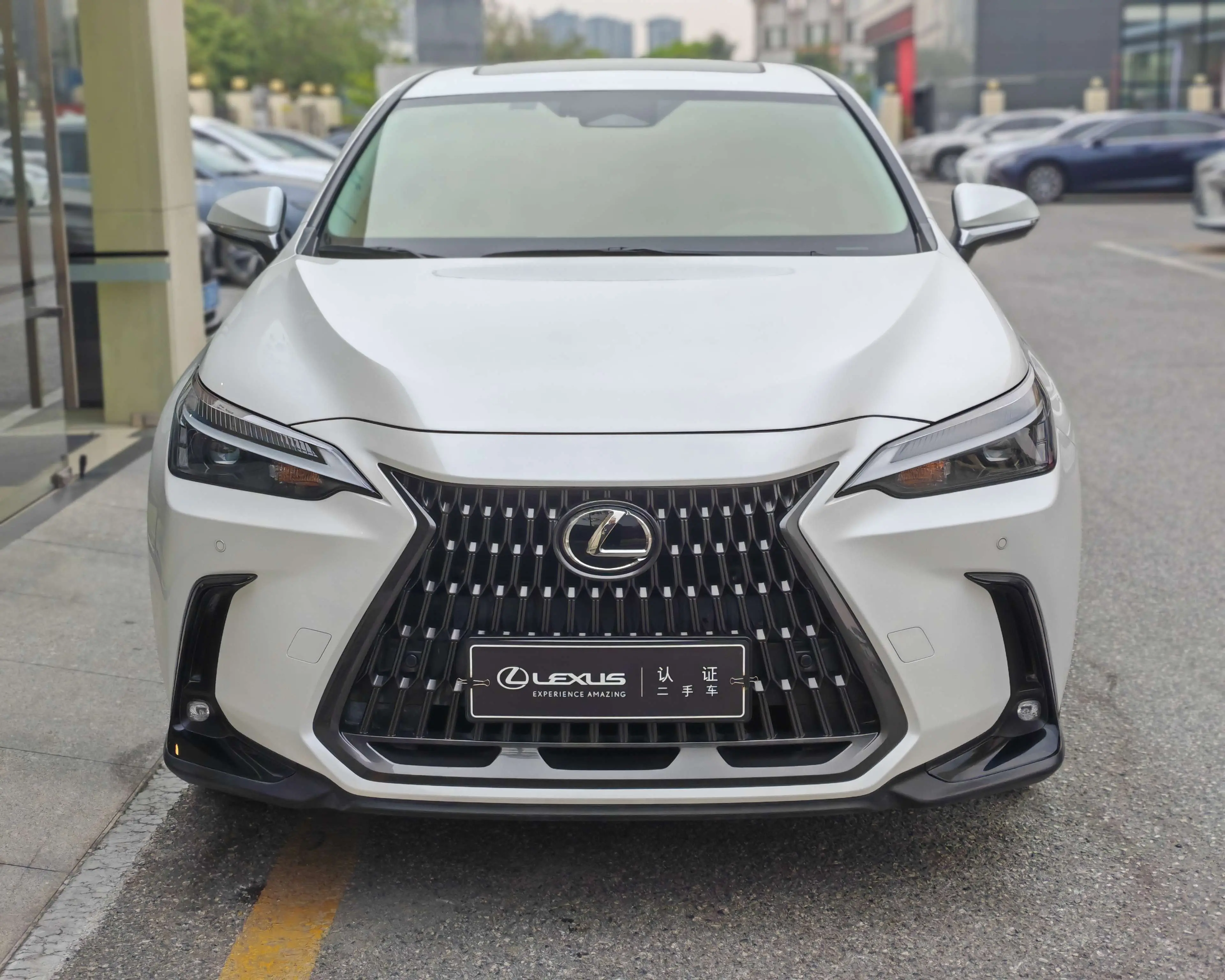 Lexus NX PHEV  из Китая