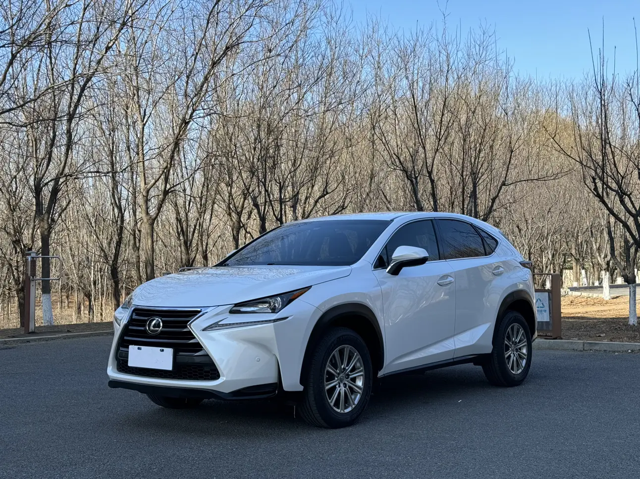 Lexus NX  из Китая