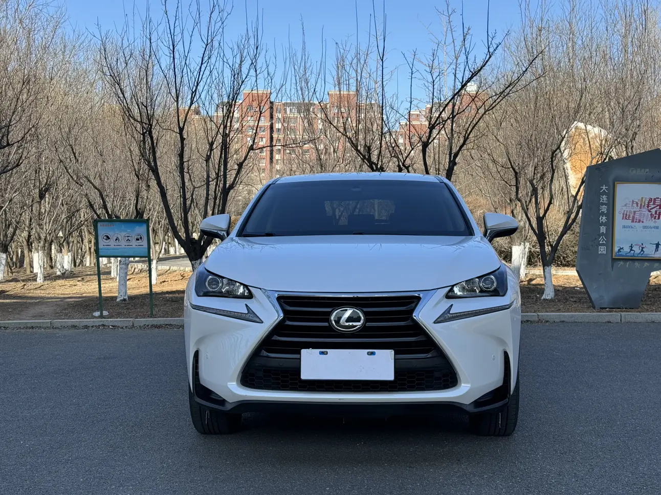Lexus NX  из Китая