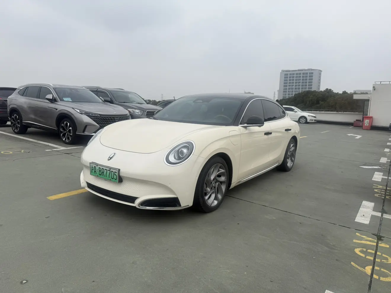 ORA Euler lightning cat  из Китая