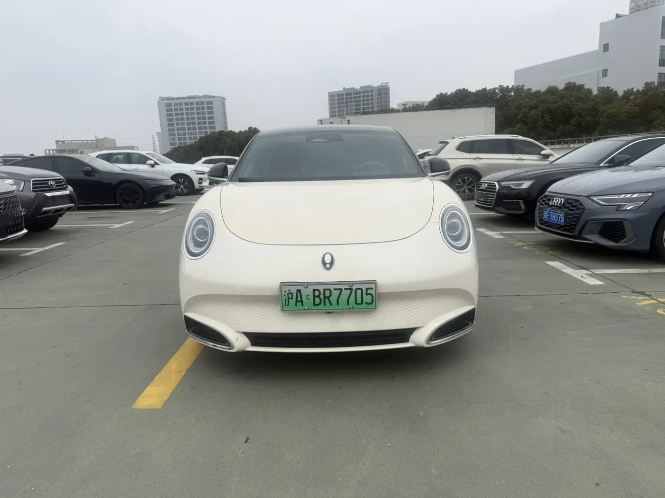 ORA Euler lightning cat  из Китая