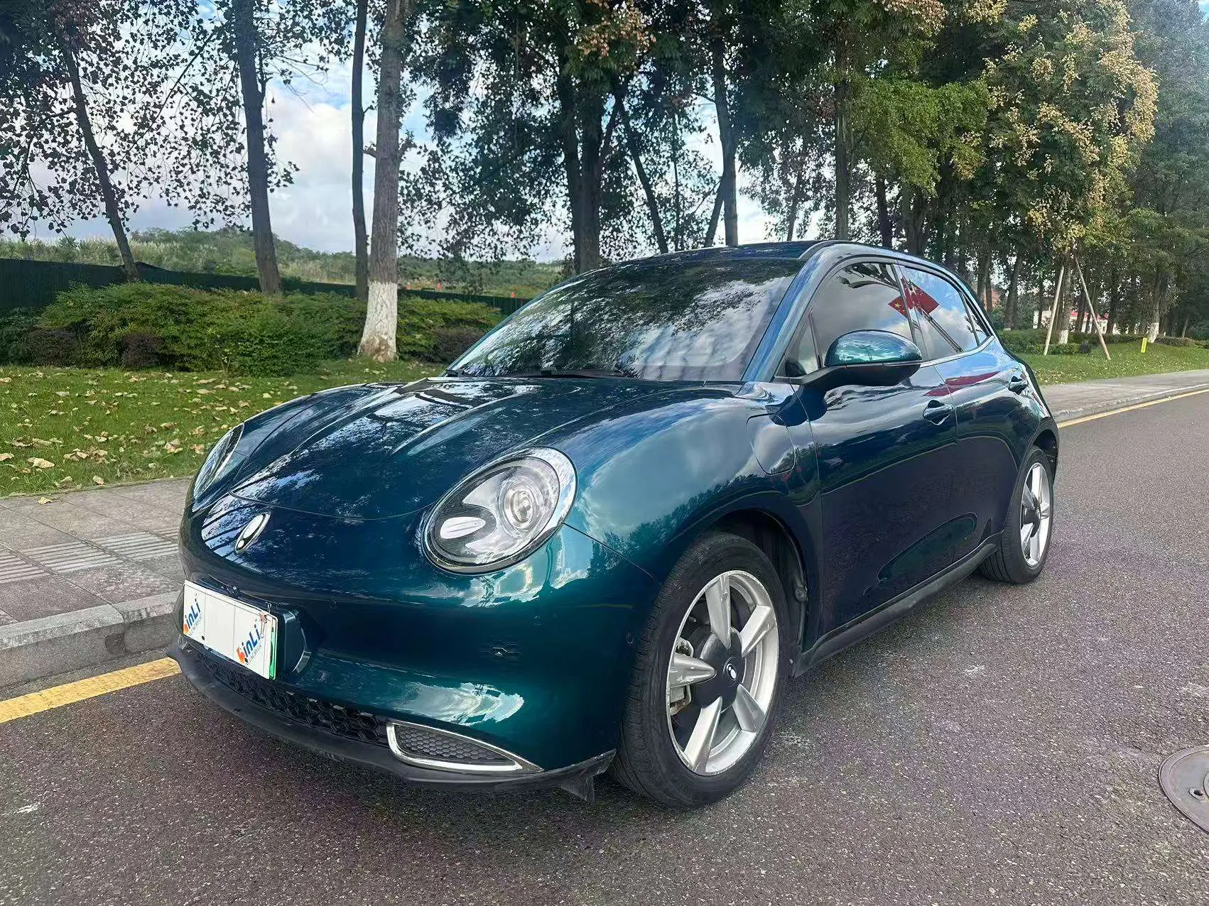 ORA Euler good cat  из Китая