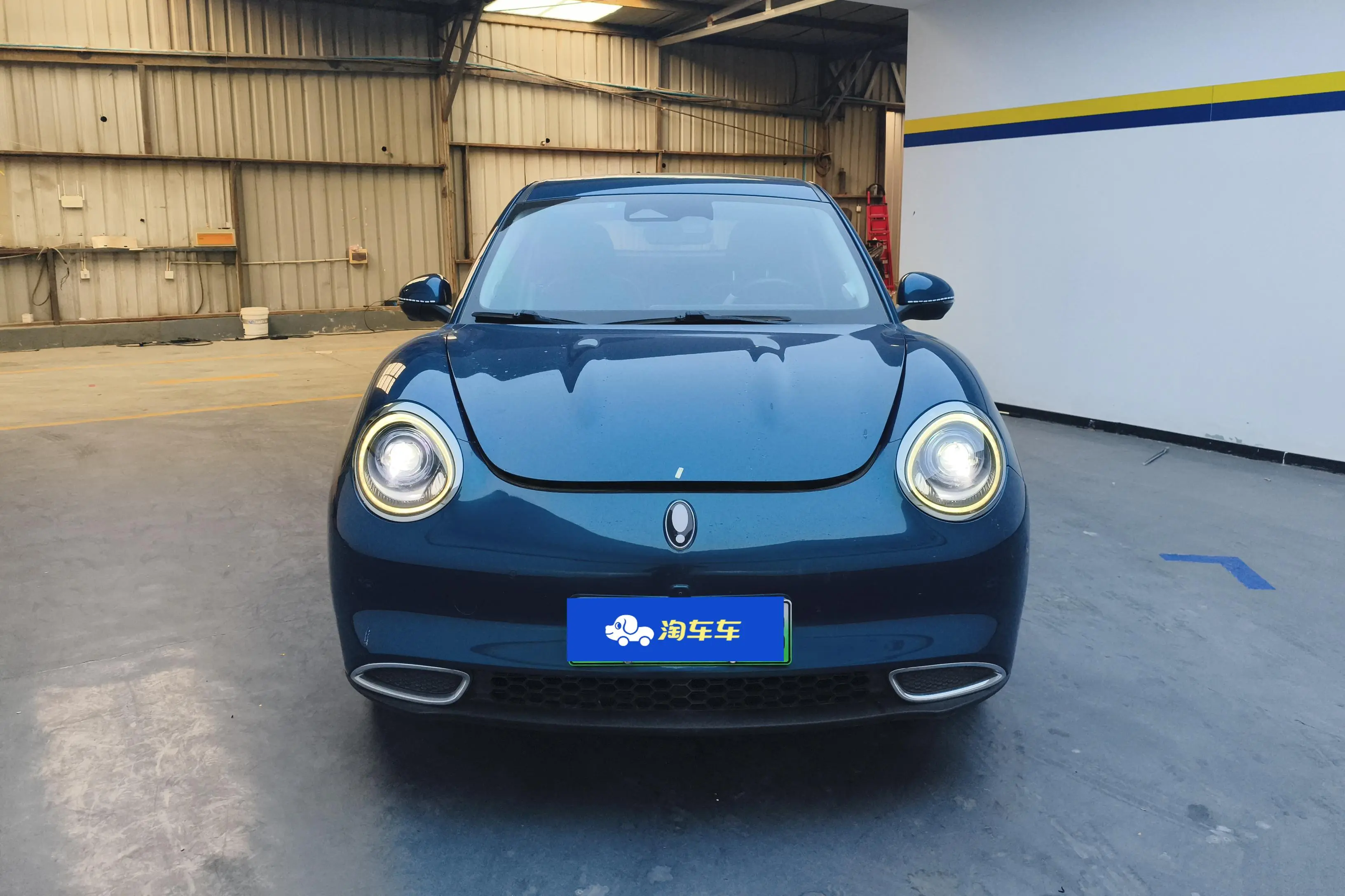 ORA Euler good cat  из Китая