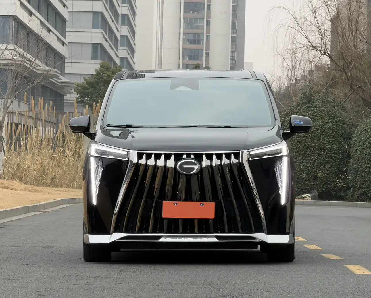 GAC Trumpchi M8  из Китая