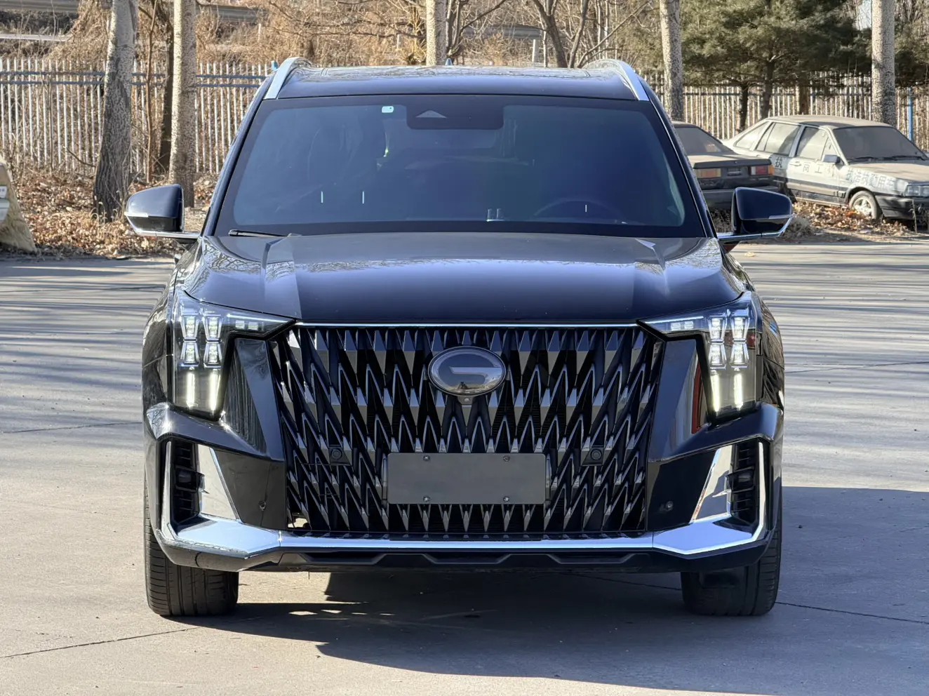 GAC Trumpchi GS8  из Китая