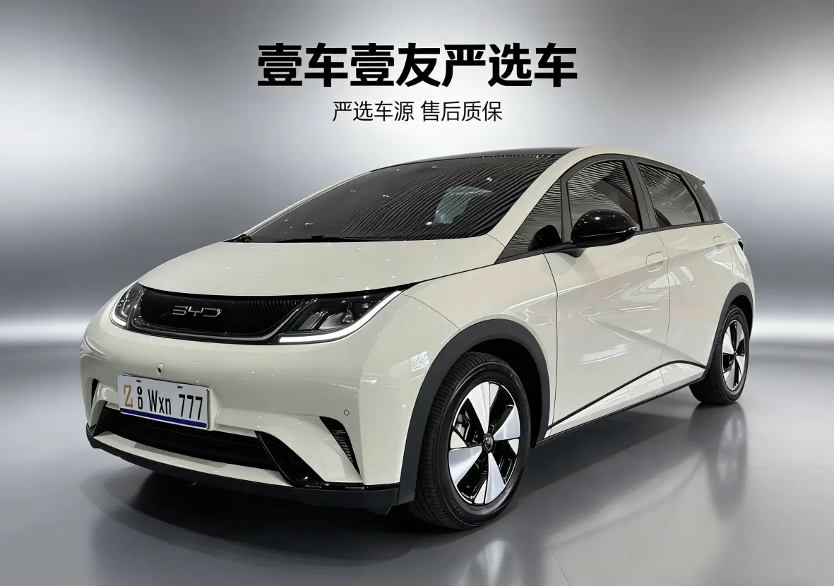 BYD Dolphin  из Китая