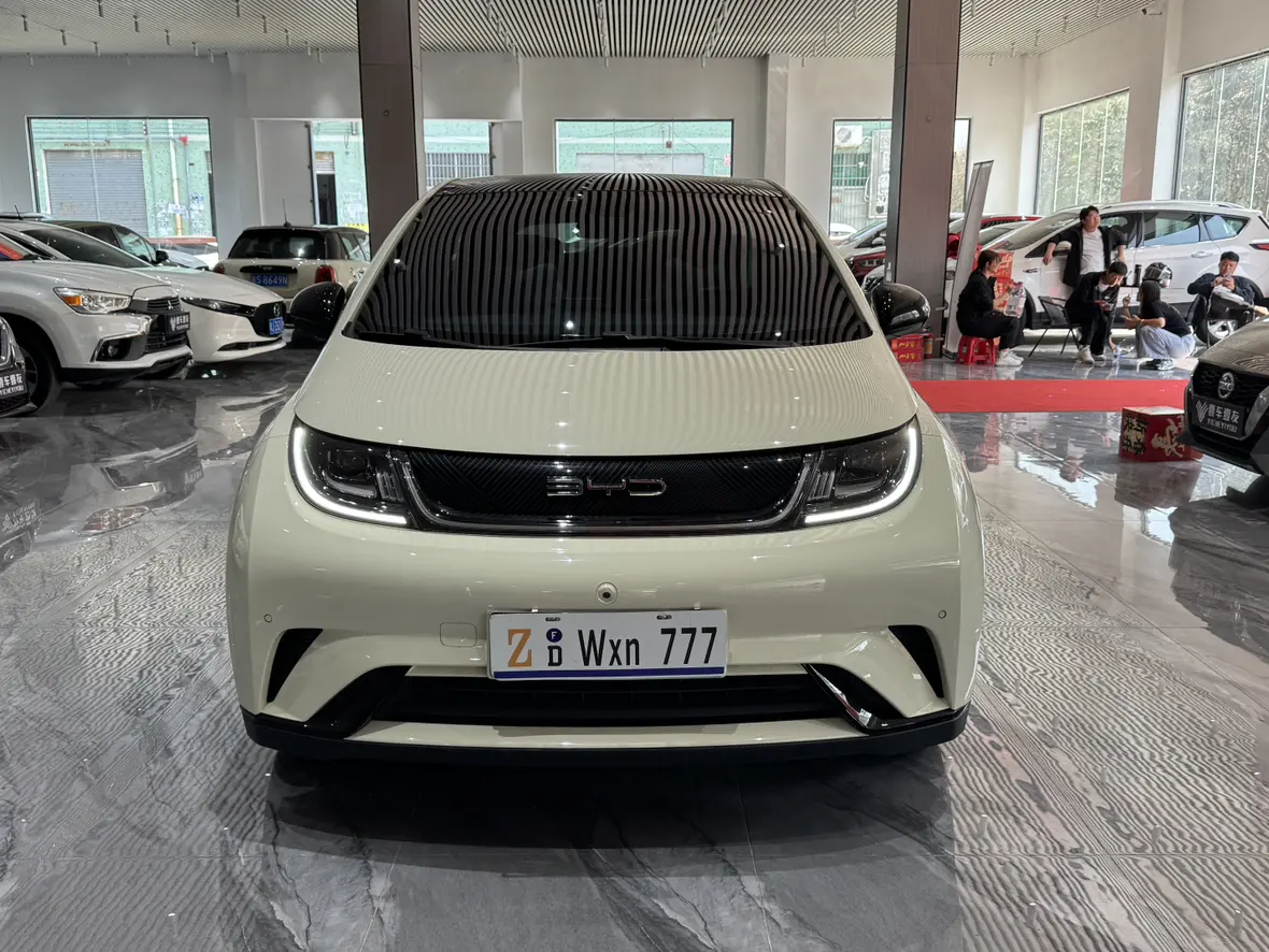 BYD Dolphin  из Китая