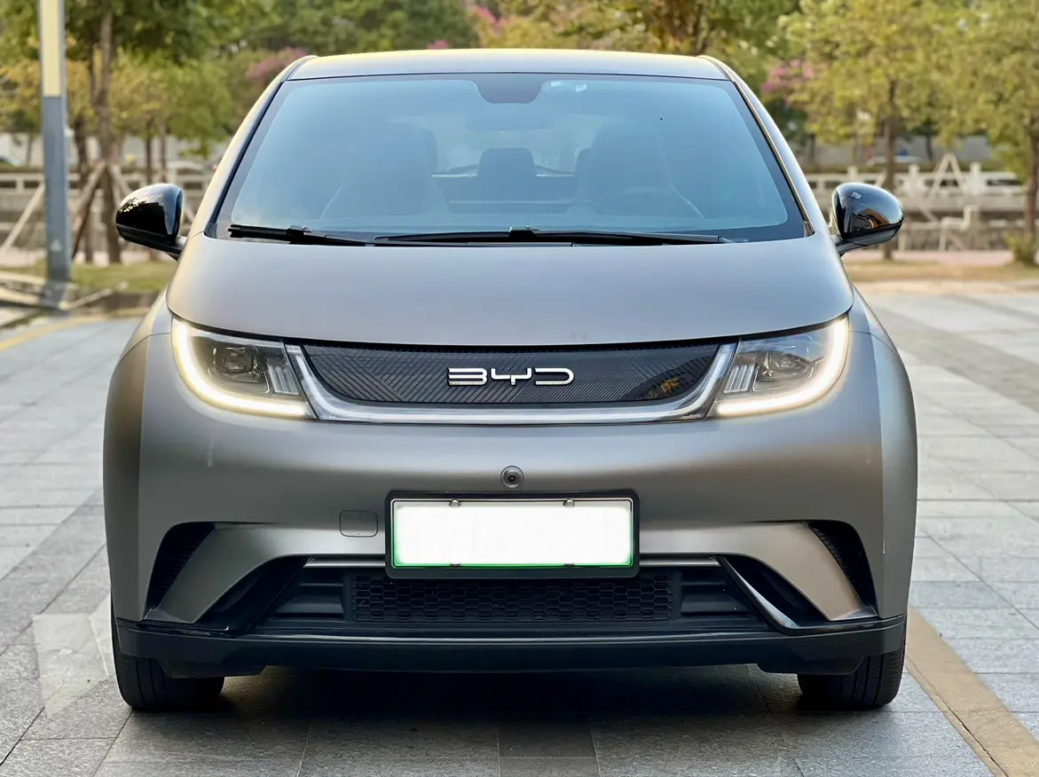 BYD Dolphin  из Китая