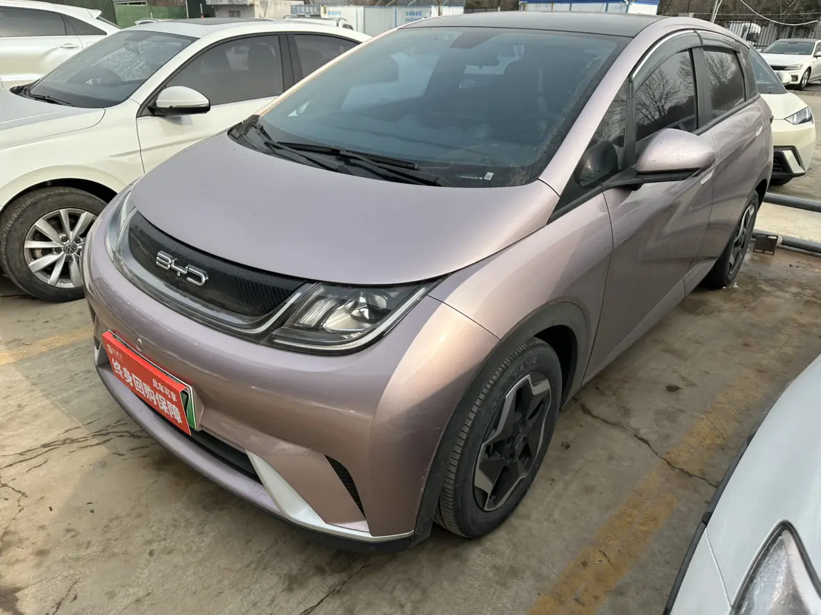 BYD Dolphin  из Китая
