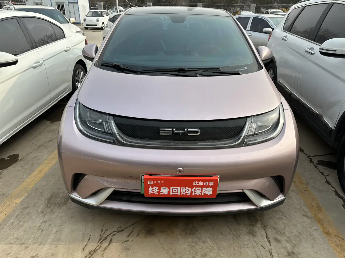 BYD Dolphin  из Китая