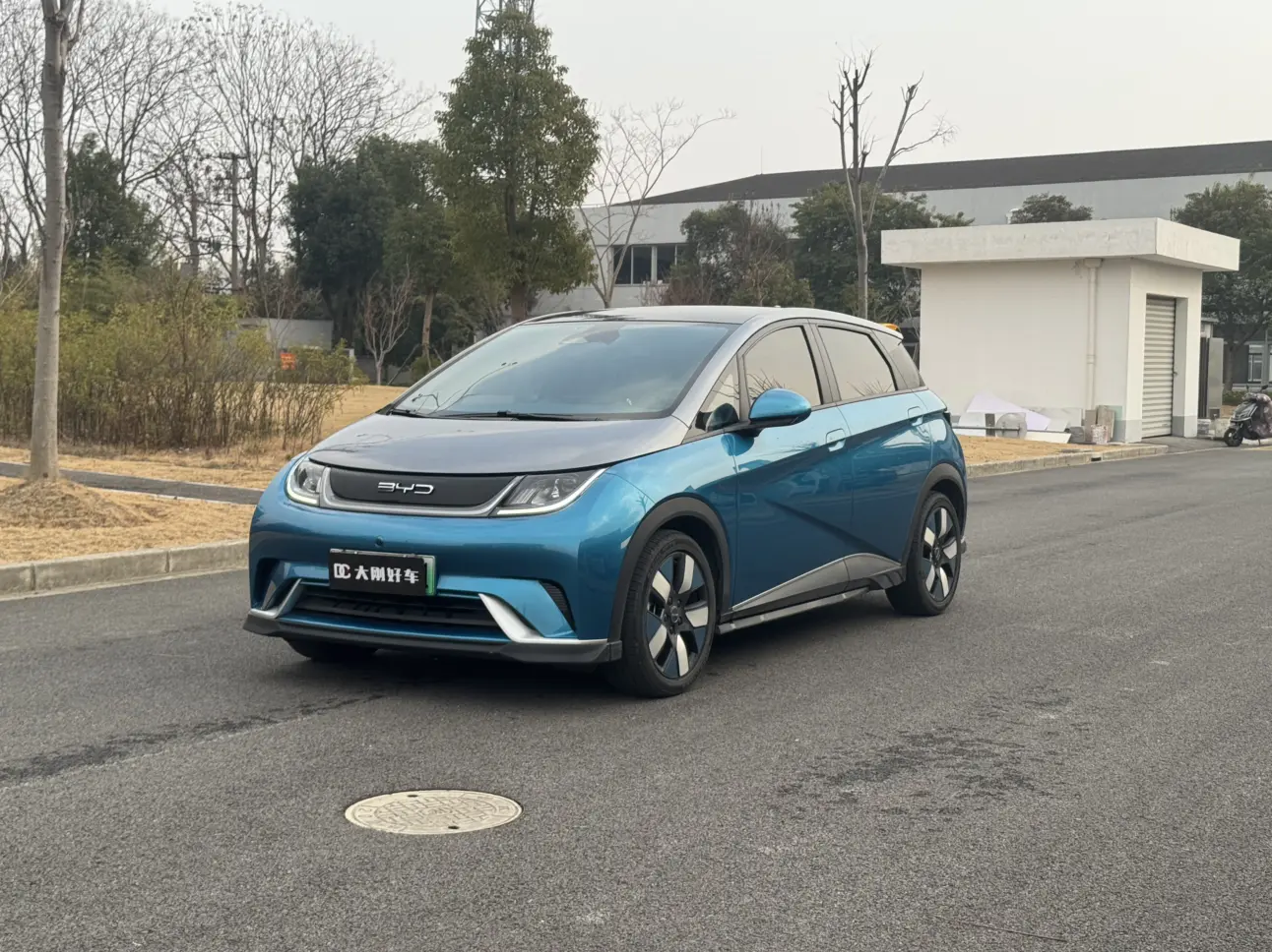 BYD Dolphin  из Китая