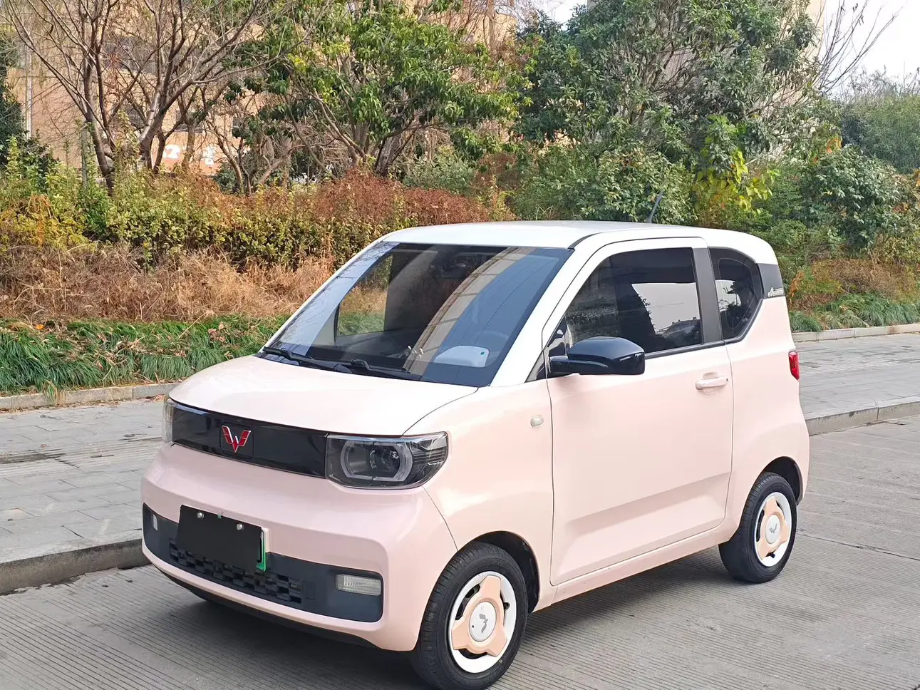 Wuling Hongguang MINIEV  из Китая