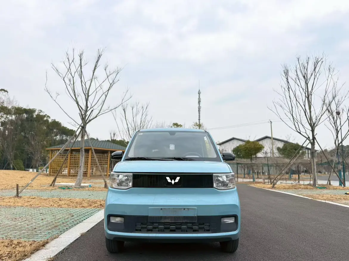 Wuling Hongguang MINIEV  из Китая