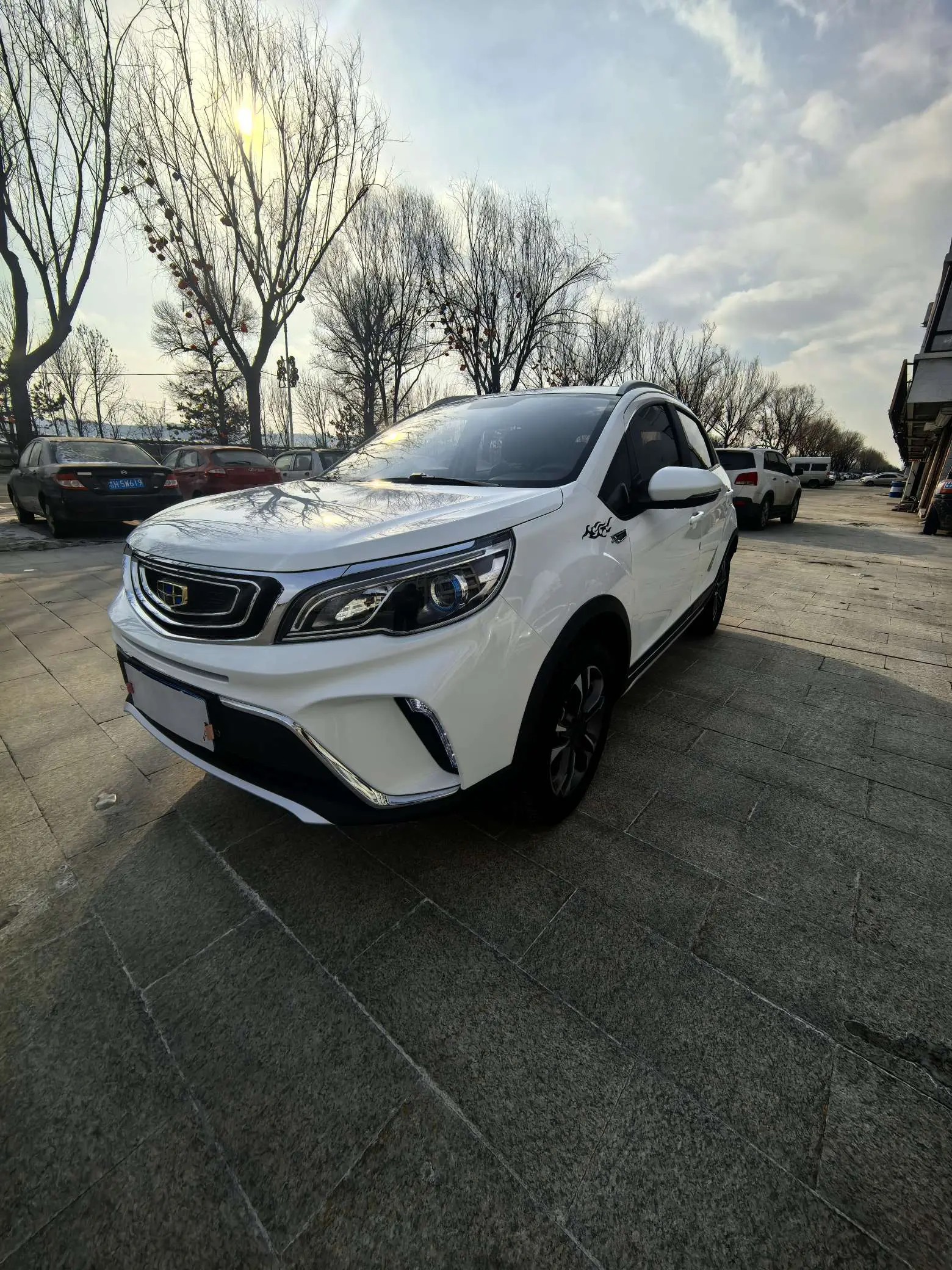 Geely Vision X3  из Китая