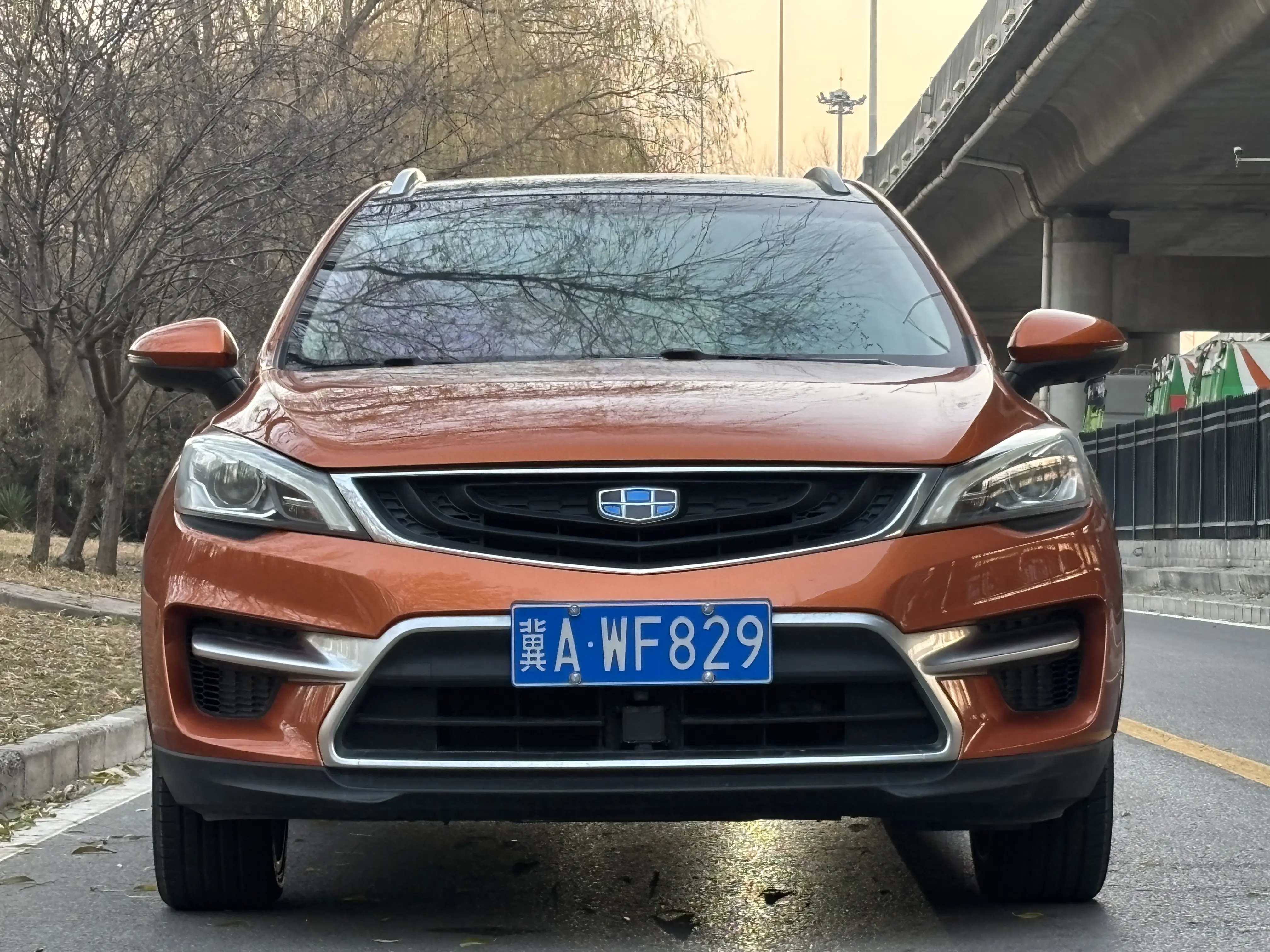 Geely Emgrand GS  из Китая