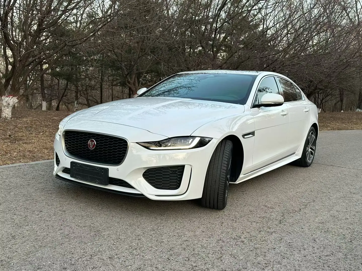 Jaguar XEL  из Китая