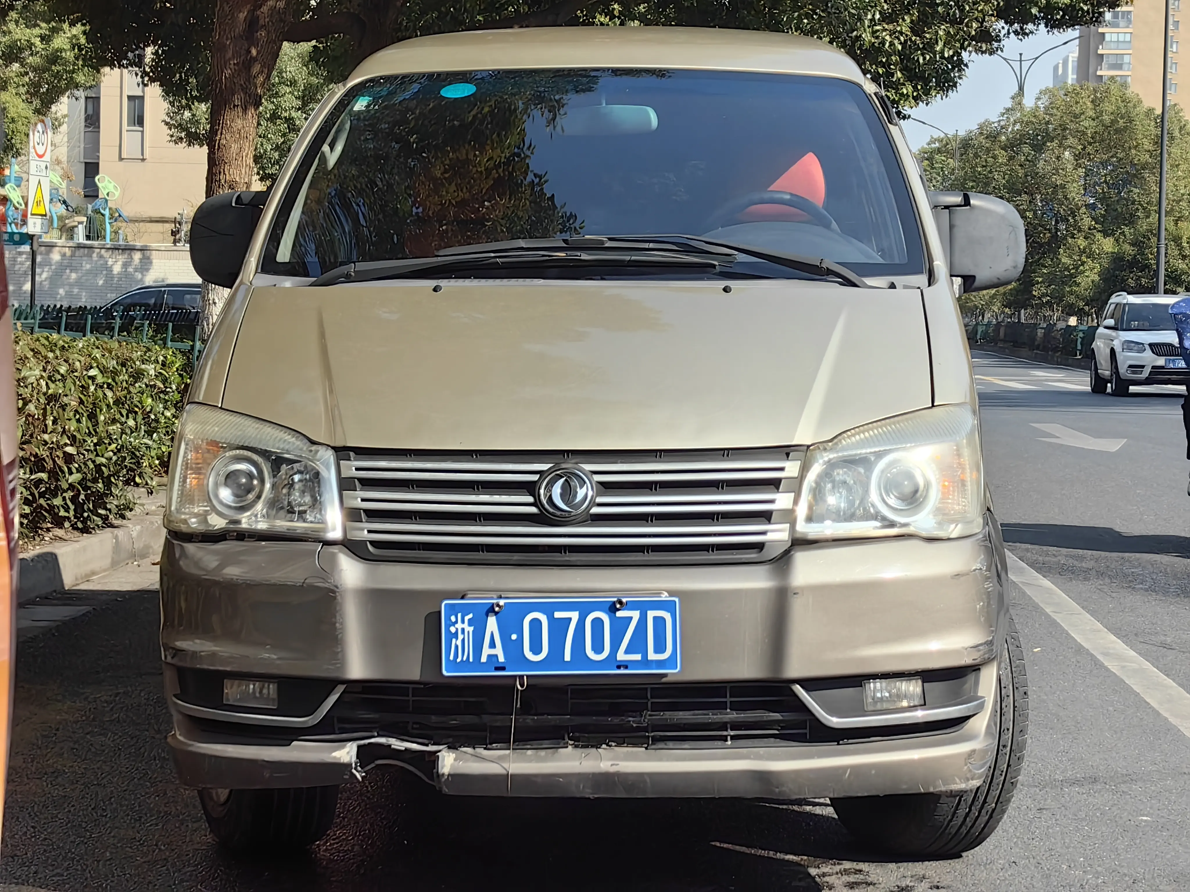 Forthing Lingzhi  из Китая