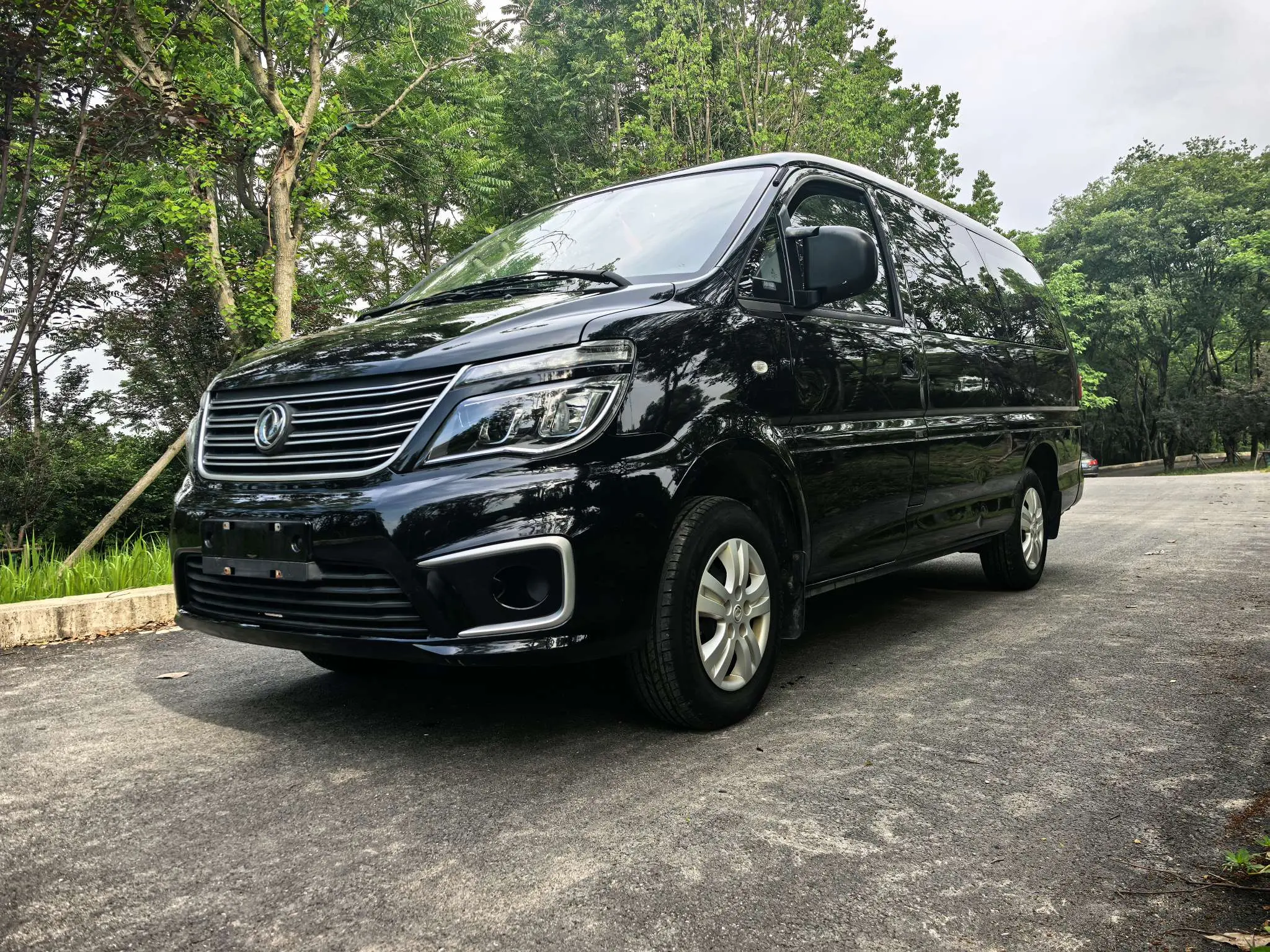 Forthing Lingzhi  из Китая