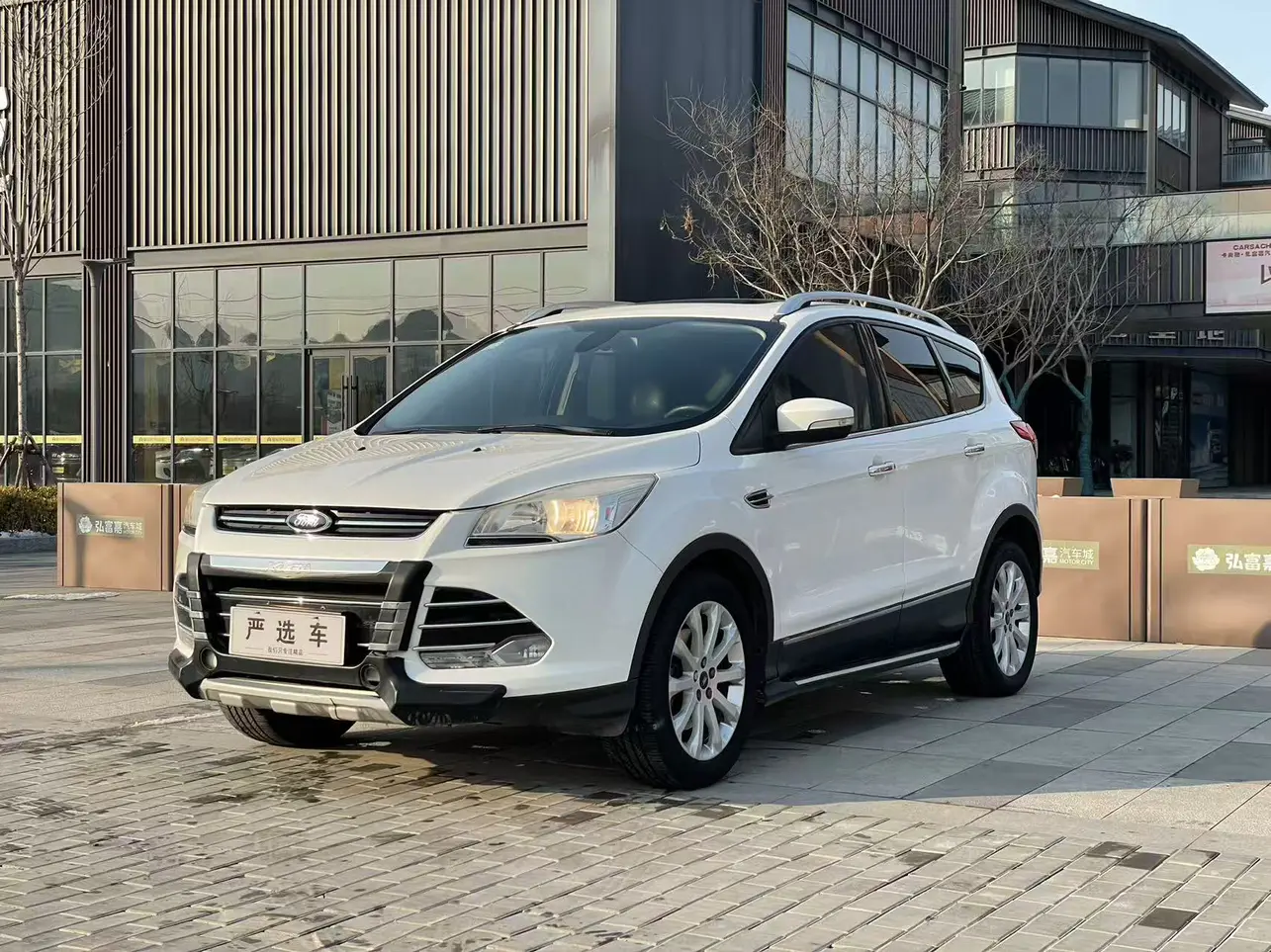 Ford Wing tiger  из Китая