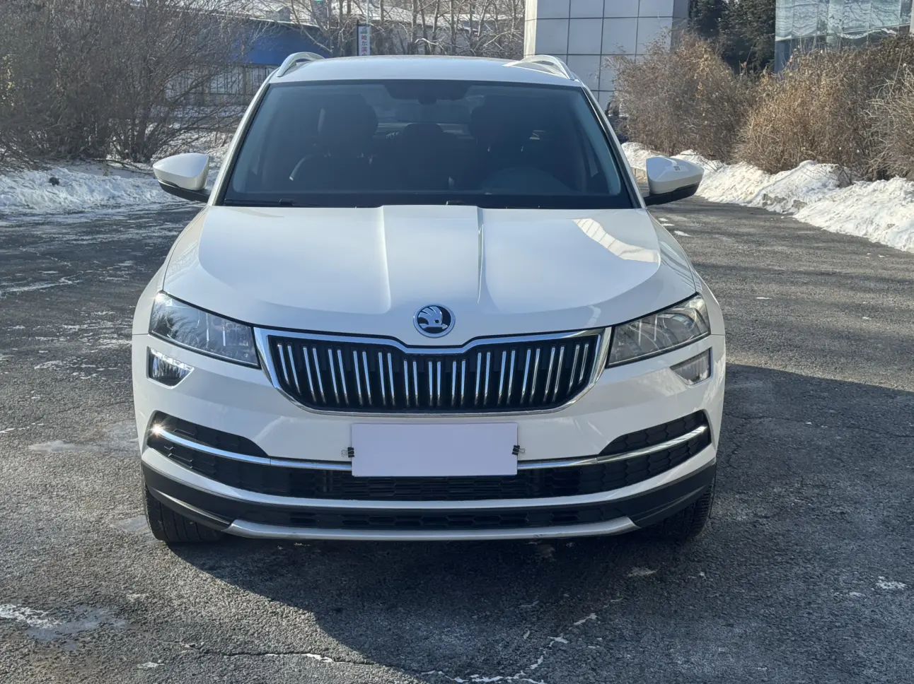 Skoda Karoq  из Китая
